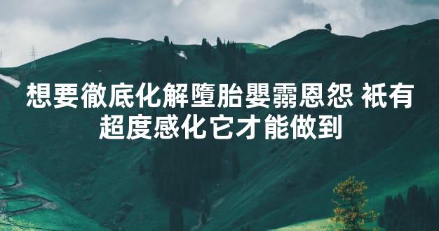 想要徹底化解墮胎嬰霛恩怨 衹有超度感化它才能做到